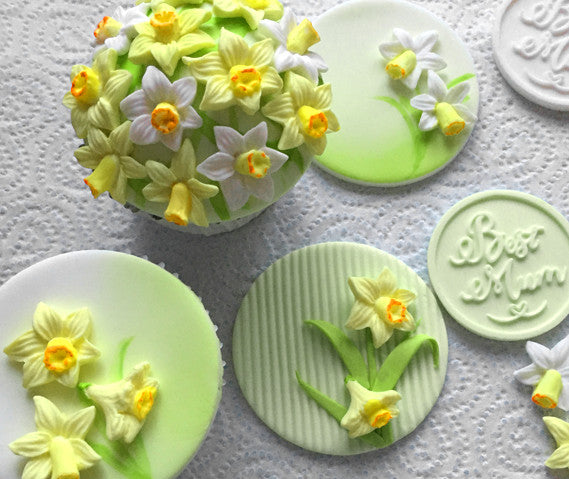 mothers day cupcake - daffodil cupcakes - Easter cake -  Ellam Sugarcraft Moulds For Fondant Or Chocolate